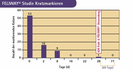 Katzen Verhalten Feliway Effektivität